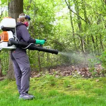 Green Earth Remediation applies eco-friendly pesticides in wooded areas to control tick populations effectively.