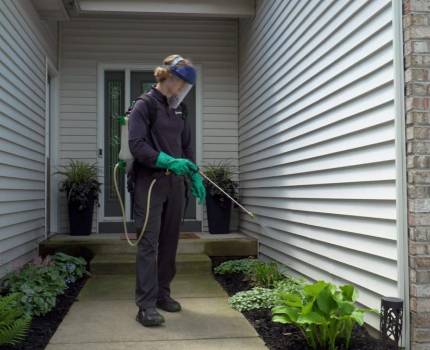 Residential pest control specialist spraying for bugs outside home.